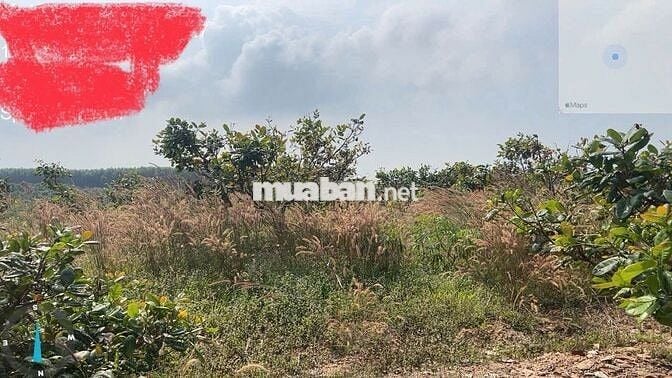 BÁN ĐẤT VIEW ĐẸP – ĐỊNH QUÁN, ĐỒNG NAI