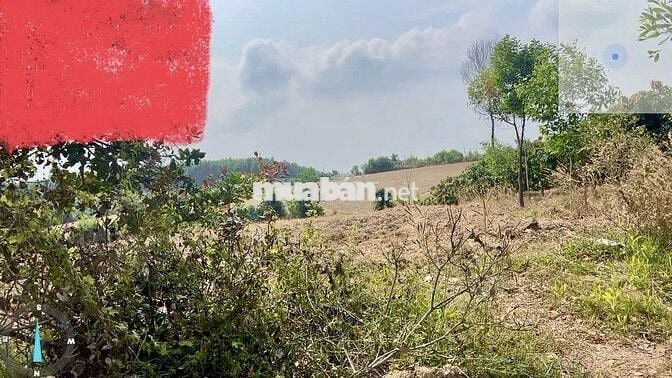 BÁN ĐẤT VIEW ĐẸP – ĐỊNH QUÁN, ĐỒNG NAI