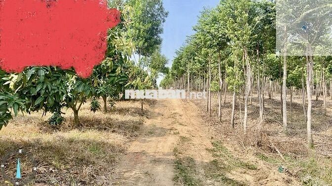 BÁN ĐẤT VIEW ĐẸP – ĐỊNH QUÁN, ĐỒNG NAI