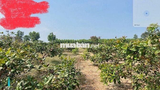 BÁN ĐẤT VIEW ĐẸP – ĐỊNH QUÁN, ĐỒNG NAI