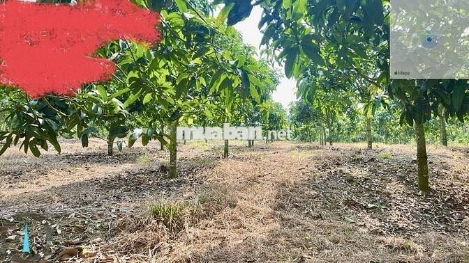 BÁN ĐẤT VIEW ĐẸP – ĐỊNH QUÁN, ĐỒNG NAI