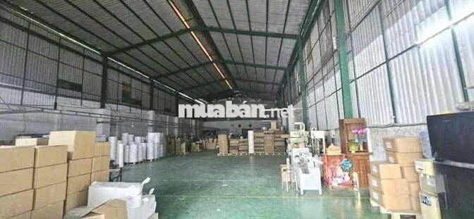 Cho Thuê Xưởng Xuân Thới Sơn Hóc Môn