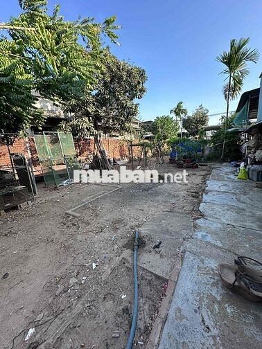 Cần bán đất nhà gấp kv Xuân Tâm