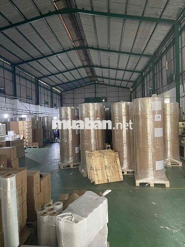 Cho Thuê Xưởng Xuân Thới Sơn Hóc Môn