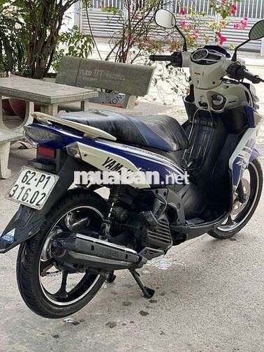 novo 5 Fii