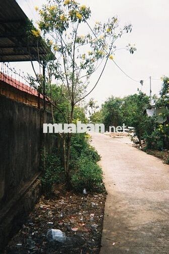 Bán Đất Thổ cư đẹp, giá hạt dẻ