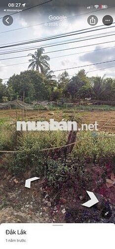 Bán Đất Thổ cư đẹp, giá hạt dẻ