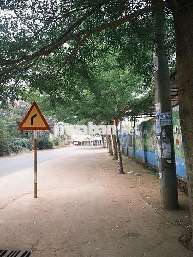 Bán Đất Thổ cư đẹp, giá hạt dẻ
