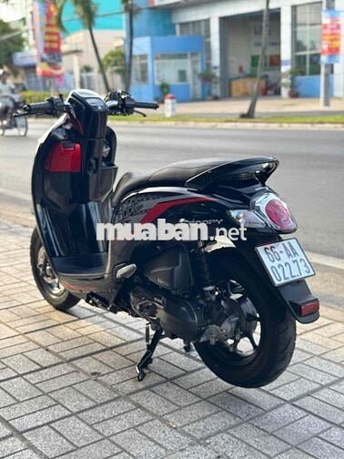 Honda Scoopy xe đẹp máy nguyên zin
