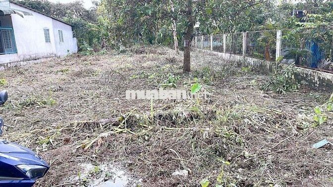 BÁN GẤP 3 NỀN LIỀN ( 522.6M ) CÓ 300M THỔ CƯ