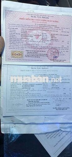 Hyundai Accent 2024 1.5 MT Trắng