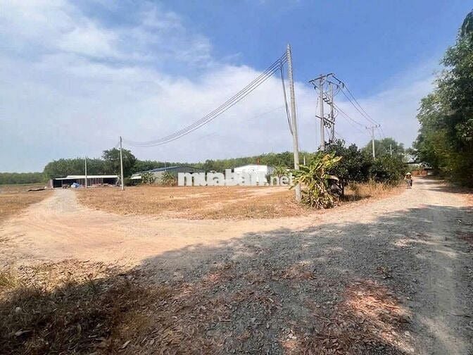 Bán Đất SKC SXKD đóng tiền 1 lần 25 năm S 6.000m² Giá 8,9 tỷ 