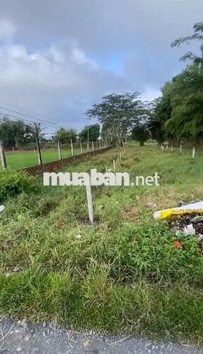 Bán đất Hoà Khánh Đông giá rẻ, dân đông, sổ hồng riêng, 500 triệu/ nền