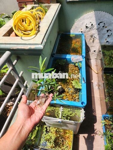 BÌNH THẠNH × 2 Nam KHO TMĐT LƯƠNG TỪ 8TR 