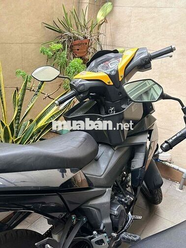 Honda Winner V1 Vàng đen