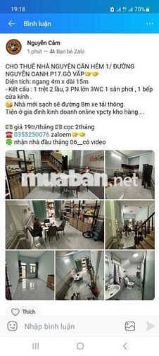 cho thuê nhà khu vực trung tâm Gò Vấp 