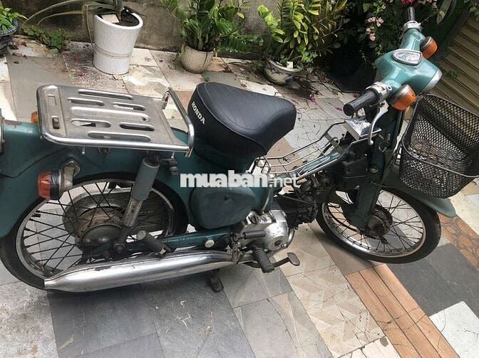 Honda Cup 50 màu Xanh