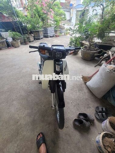 Honda Dream 2006 