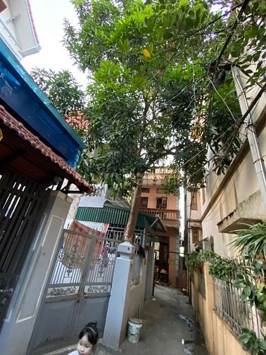 Chính chủ cần bán gấp nhà trong ngõ 21 Thanh Am, Long Biên DT 71 m2
