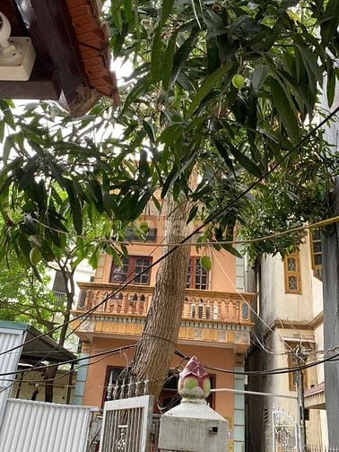 Chính chủ cần bán gấp nhà trong ngõ 21 Thanh Am, Long Biên DT 71 m2