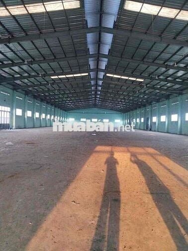 Cho Thuê Xưởng Ngoài KCN Mặt Tiền Tỉnh Lộ Củ Chi