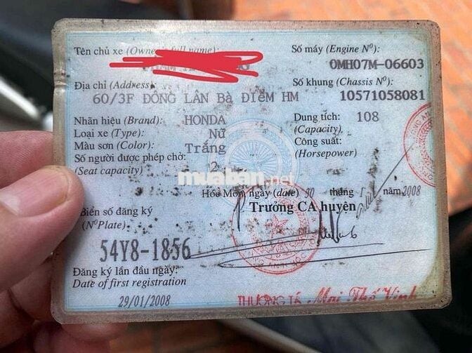 Honda Lead 2008 Trắng