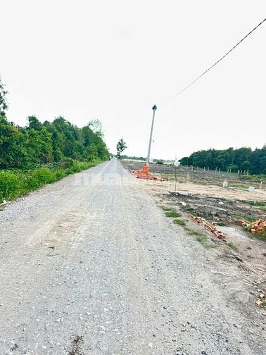 Bán đất tại Đường Tỉnh Lộ 818, Long An, 550 triệu, 150 mv thổ cư .