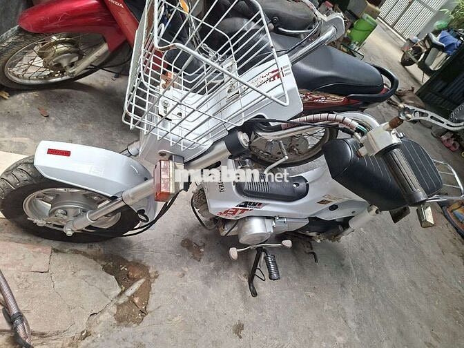 Honda Crazy màu Trắng