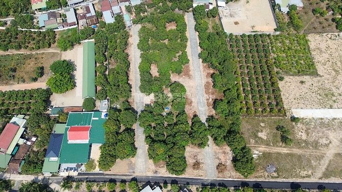 Hơn 600 triệu lô đất thổ cư cam lâm khánh hoà gần cao tốc nha trang 