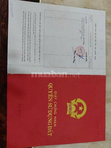  Hot ! 939m2  đất đường An phú Đông 03 giá 12tỷ ( 12 triệu 8 / 1m2 )