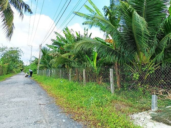 Bán 2000m2 đất thổ cư mặt tiền đường nhựa, gần cầu R Miễu 2.