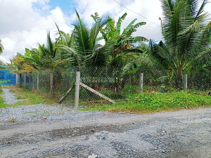 Bán 2000m2 đất thổ cư mặt tiền đường nhựa, gần cầu R Miễu 2.