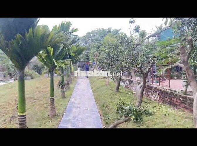 CẦN TÌM HÀNG XÓM VUI TÍNH DỄ MẾN THÂN THIỆN