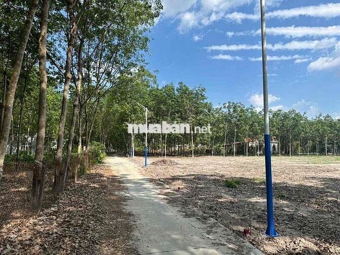 220m2 nhánh Cao Bá Quát P.Minh Hưng giá đầu tư
