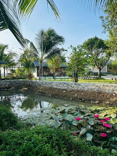 TÀI CHÍNH 850 TRIỆU ANH CHỊ EM KHÔNG NÊN BỎ QUA TÀI SẢN NÀY 