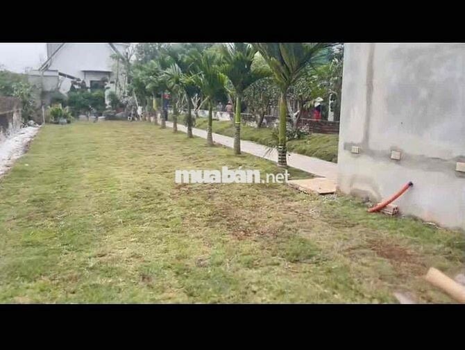 CẦN TÌM HÀNG XÓM VUI TÍNH DỄ MẾN THÂN THIỆN