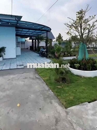 Chính chủ bể nợ bán lại nhà vườn có đầy đủ tiểu cảnh sân vườn