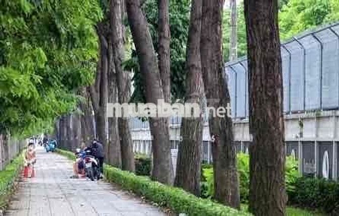 Cho thuê nhà mặt tiền đường Quang Trung