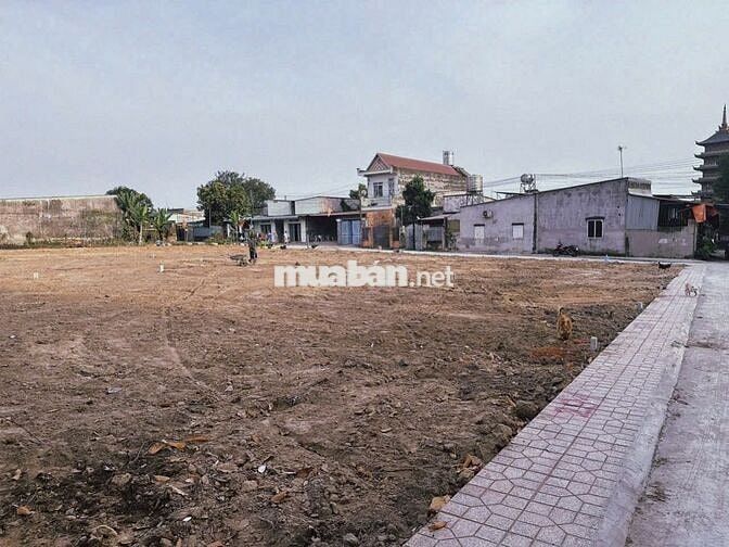 Chủ Đang kẹt tiền bán gắp đúng 1 lô