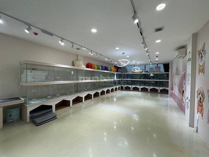 Cho thuê nhà Thảo Điền Q2, hầm 4 lầu, phù hợp spa, văn phòng, 220tr/th