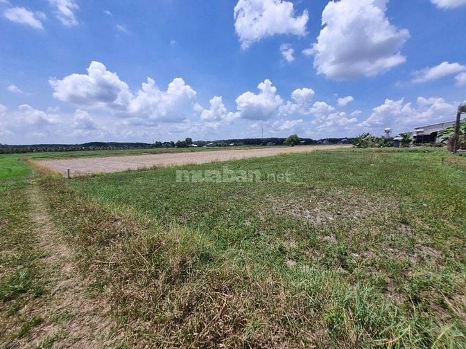 Khoảng 650m2 đường xe hơi. Dân đông. Đất lập vườn. chỉ 3xx tr 