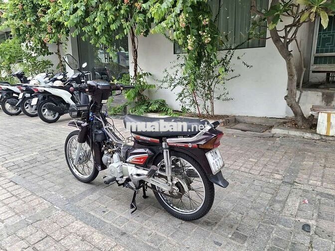 Honda Dream thái