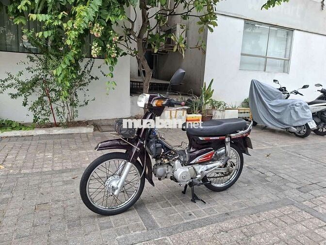 Honda Dream thái