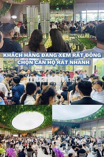 🔥TIN NÓNG 🔥Sở hữu ngay căn hộ hàng hiệu giá chỉ 4.5.0 củ khoai
