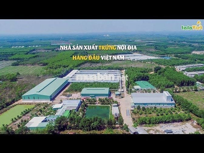 TUYEN 10 NHÂN VIÊN CHĂN NUÔI TẠI LÂM ĐỒNG