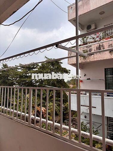 (8672) căn hộ Phú Mỹ, 50 m², giá 3 triệu/tháng