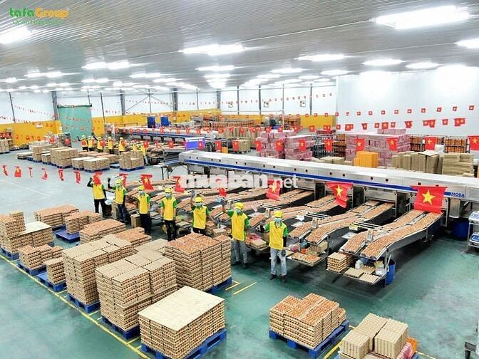 TUYEN 10 NHÂN VIÊN CHĂN NUÔI TẠI LÂM ĐỒNG