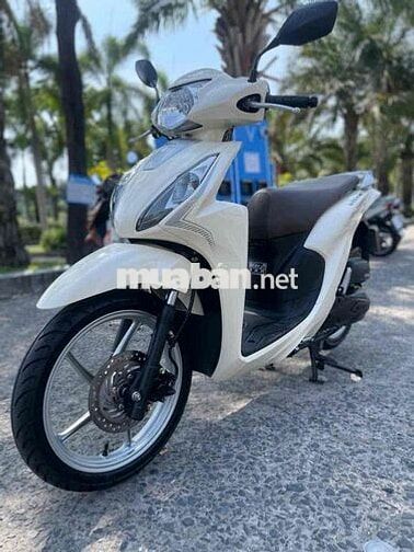 Vision tháng 11/2023 Cổ điển bánh lớn 2023 Trắng