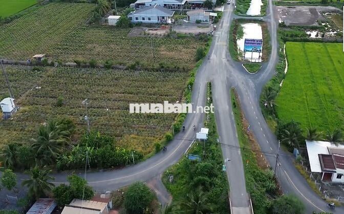 Bán đất thổ lúa đường nhựa tại Đức Huệ, Long An