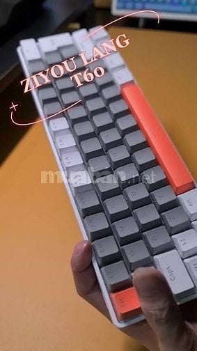 Bàn phím cơ Ziyoulang T60 Trắng cam
